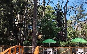 Cabañas Mapuche